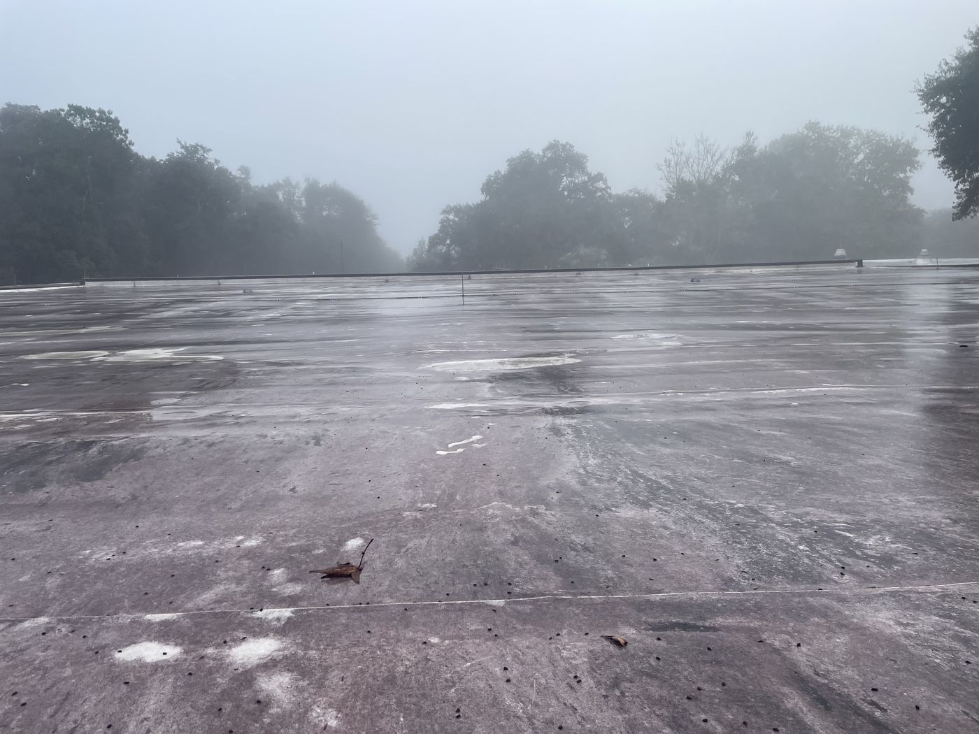 Before: a large commercial flat roof membrane darkened by algae, dirt and organic staining.